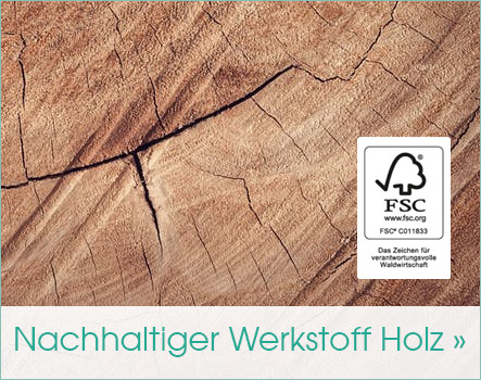 Werkstoff Holz